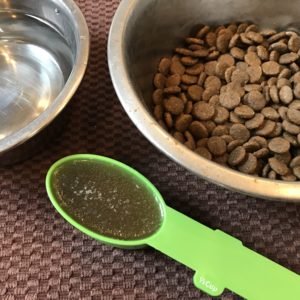 bone broth for cats and dogs